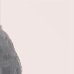 Meet your Posher, Isaiah